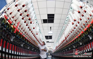 南宮 科技創新促紡織業升級